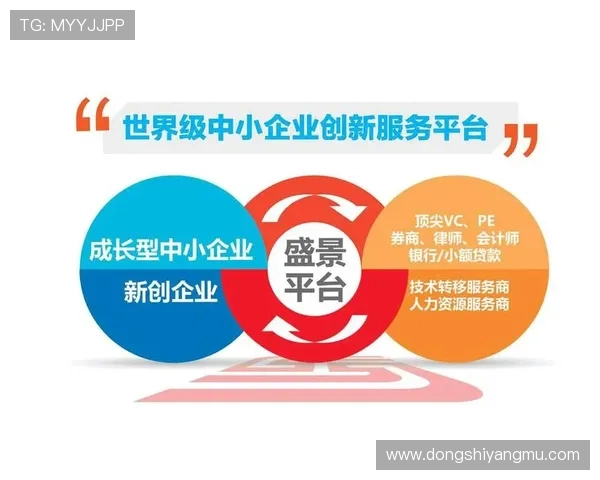 企业家服务创新解决方案助力企业成长与转型提升