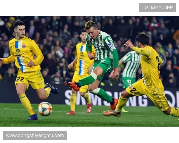 埃梅里家族入股助皇家联合重返西协甲 埃梅里家族入股助皇家联合重返西协甲